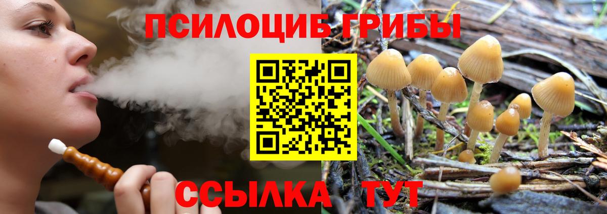 Галлюциногенные грибы прущие грибы  Вход с VPN  Нефтекамск  Галлюциногенные грибы Magic Shrooms 